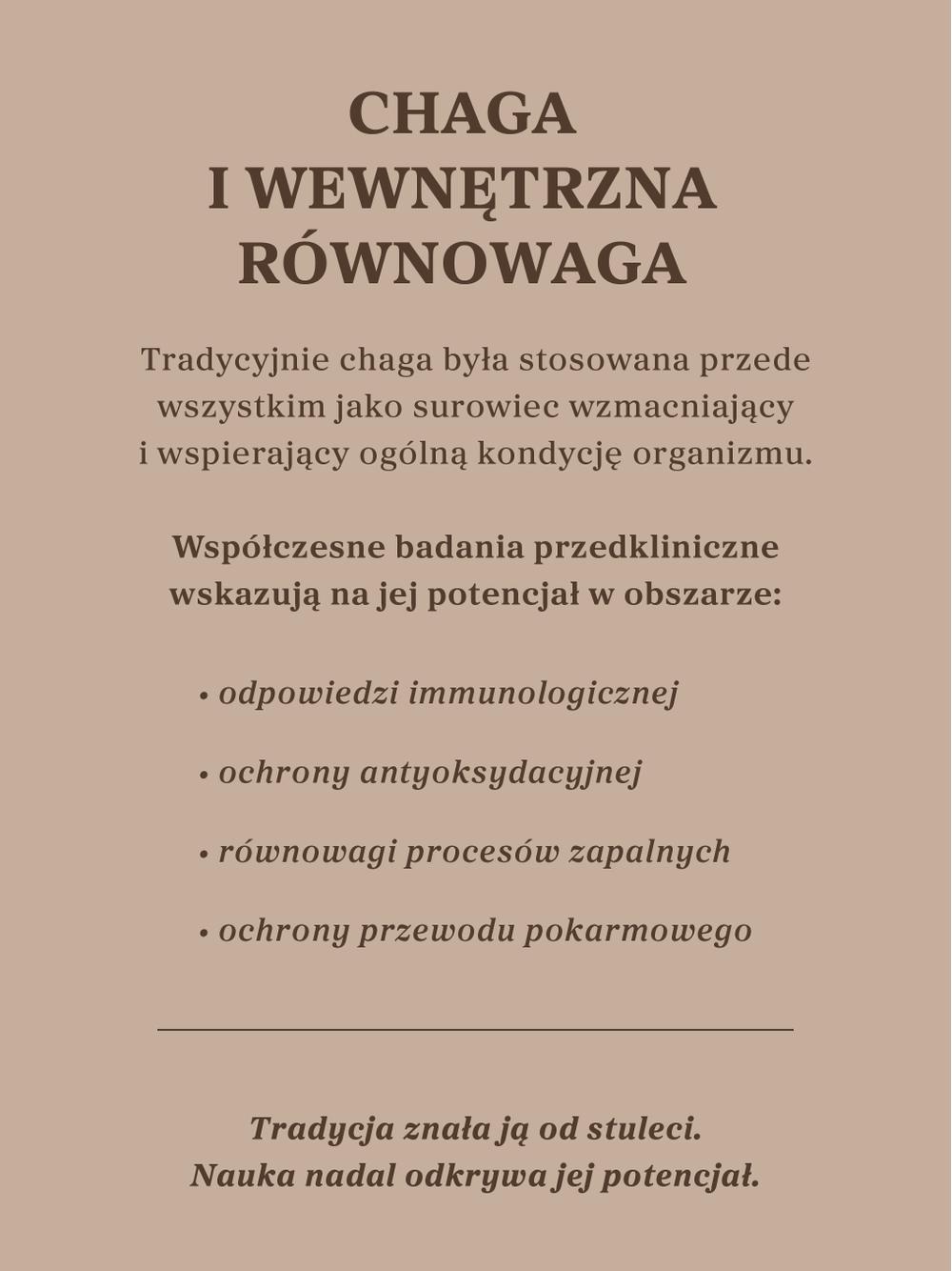 Czaga - guz brzozy
