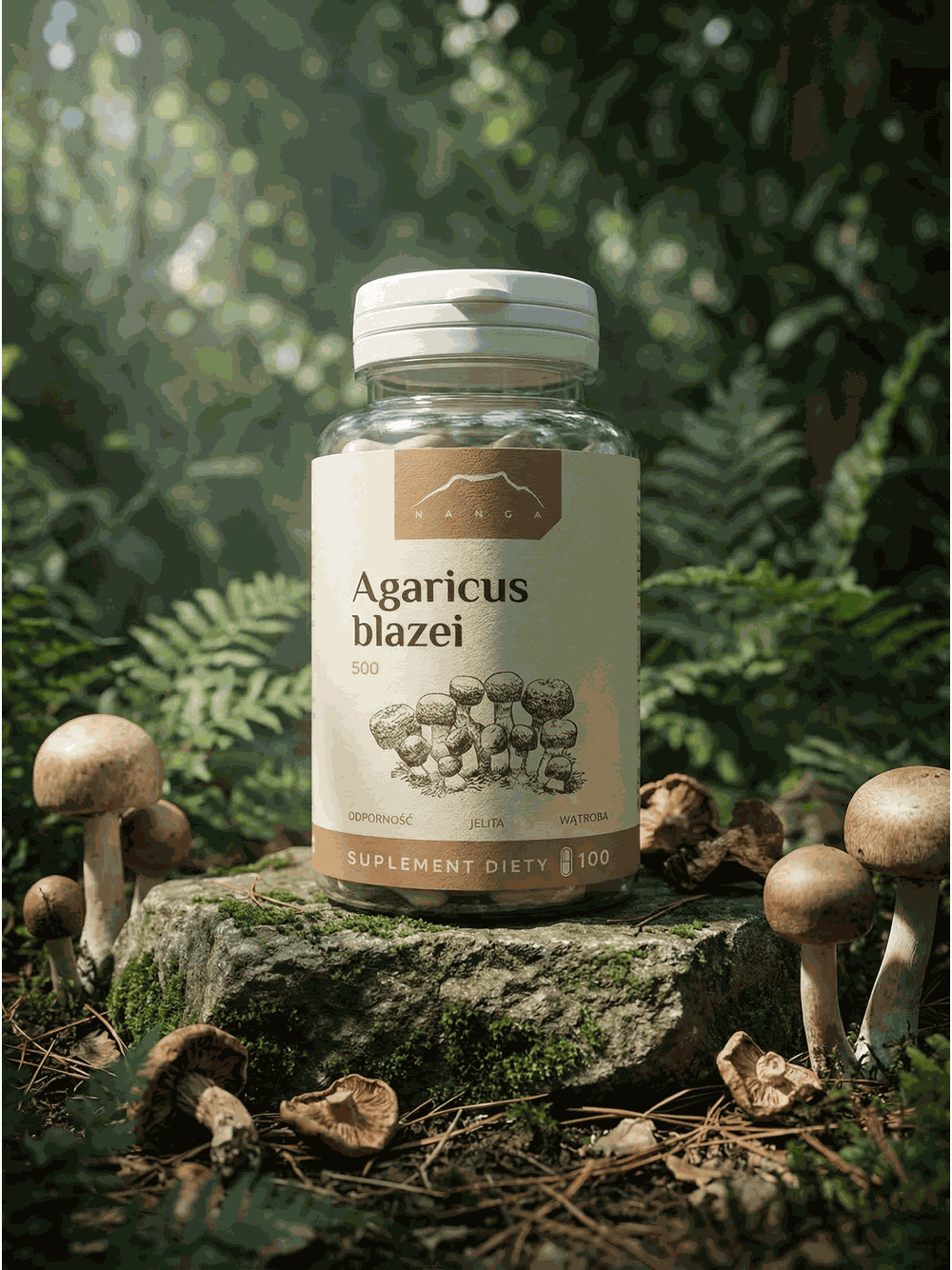 Agaricus blazei ekstrakt 100 kapsułek x  500 mg