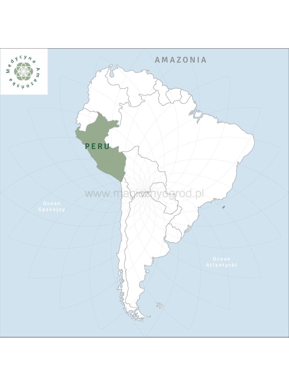 Anamu / mucura