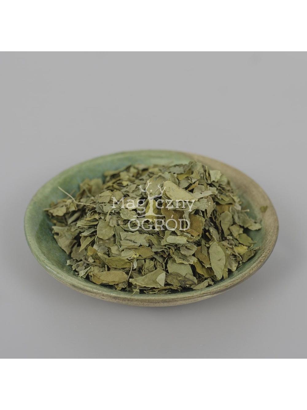 Moringa liść