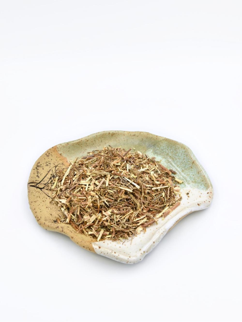 Chanca piedra ziele