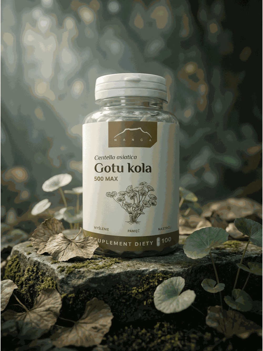 Gotu kola max 100 kapsułek x 500 mg