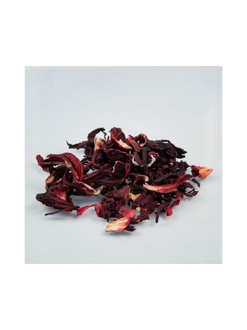 Hibiskus kwiat