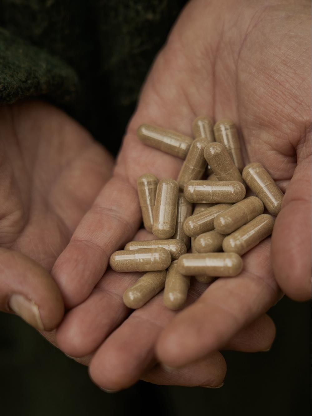 Żeń-szeń syberyjski kapsułki x 400 mg