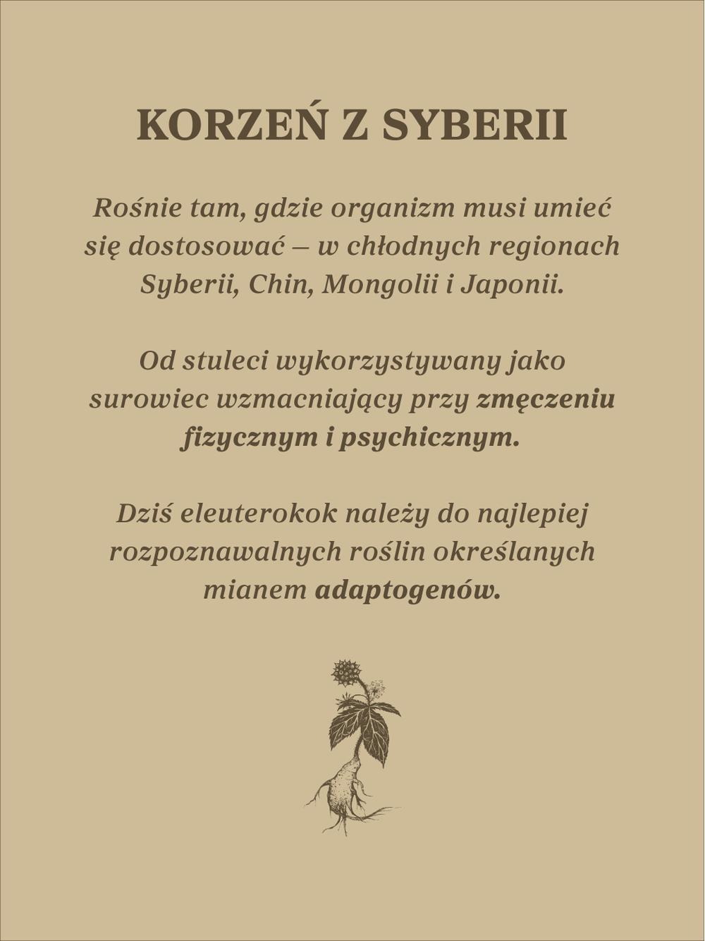 Żeń-szeń syberyjski kapsułki x 400 mg