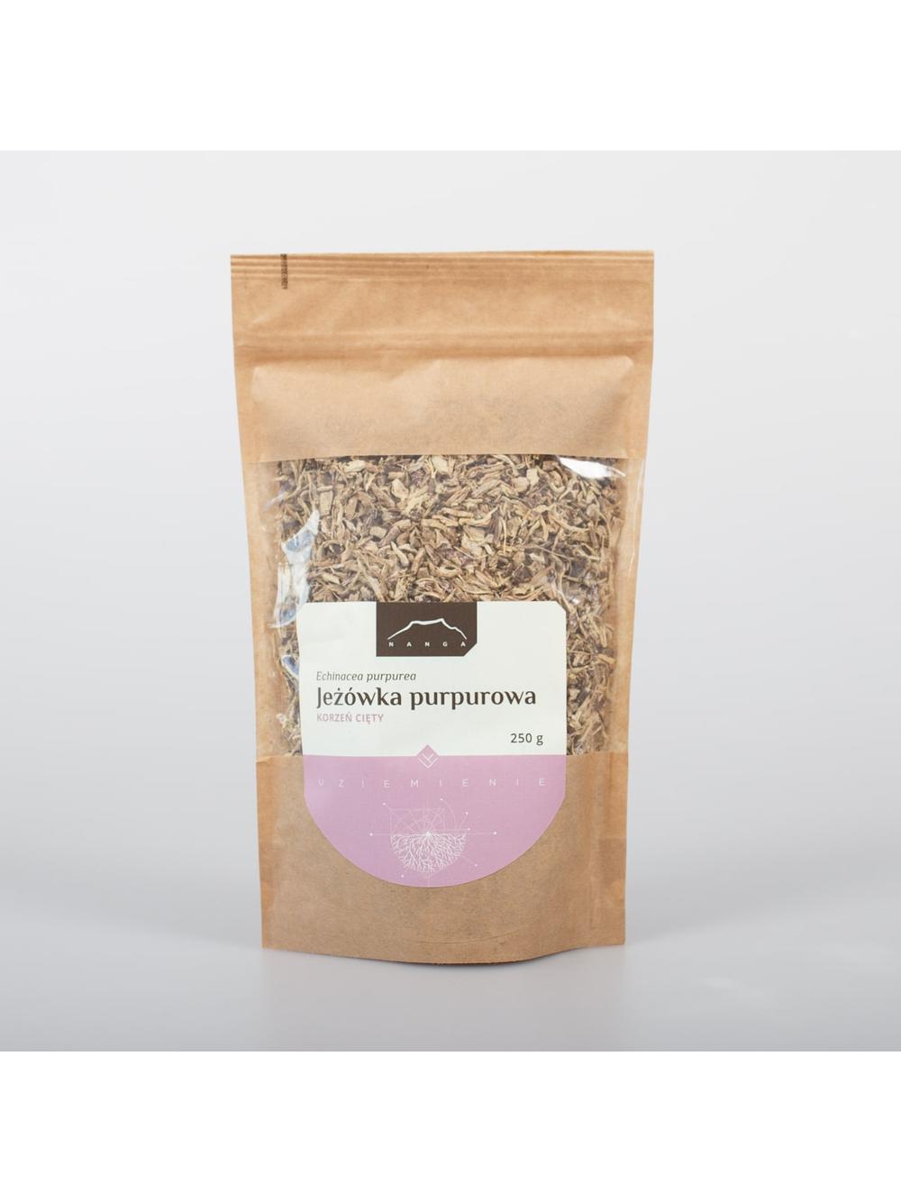 Jeżówka purpurowa korzeń