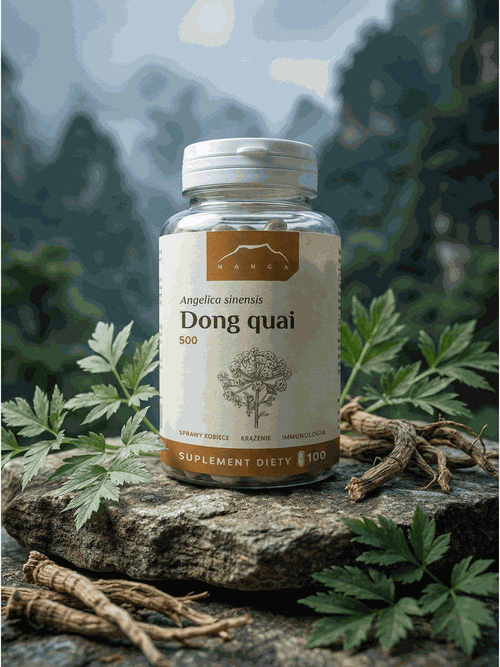 Dong Quai 100 kapsułek x 500mg