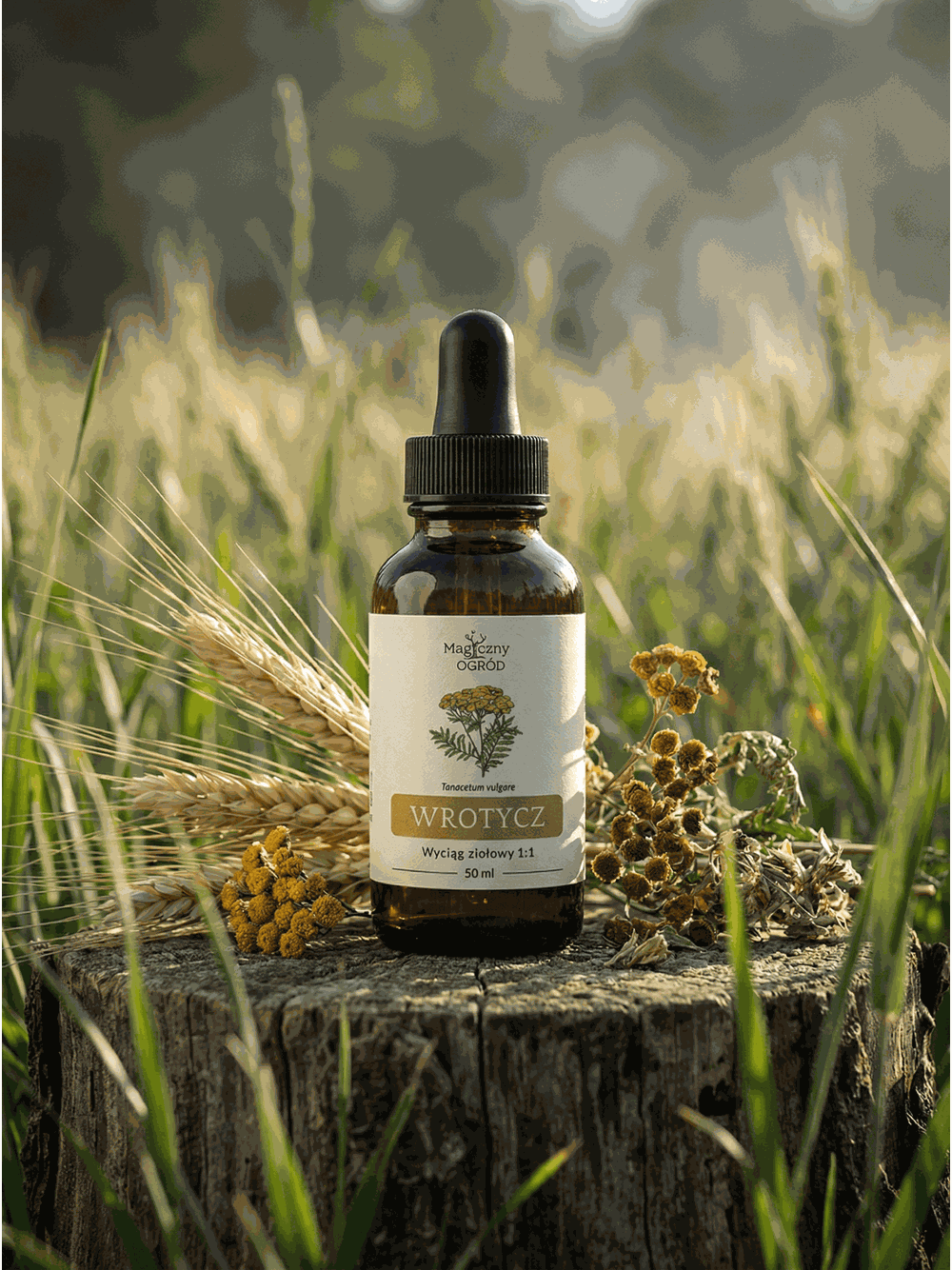 Nalewka z wrotyczu 1:1