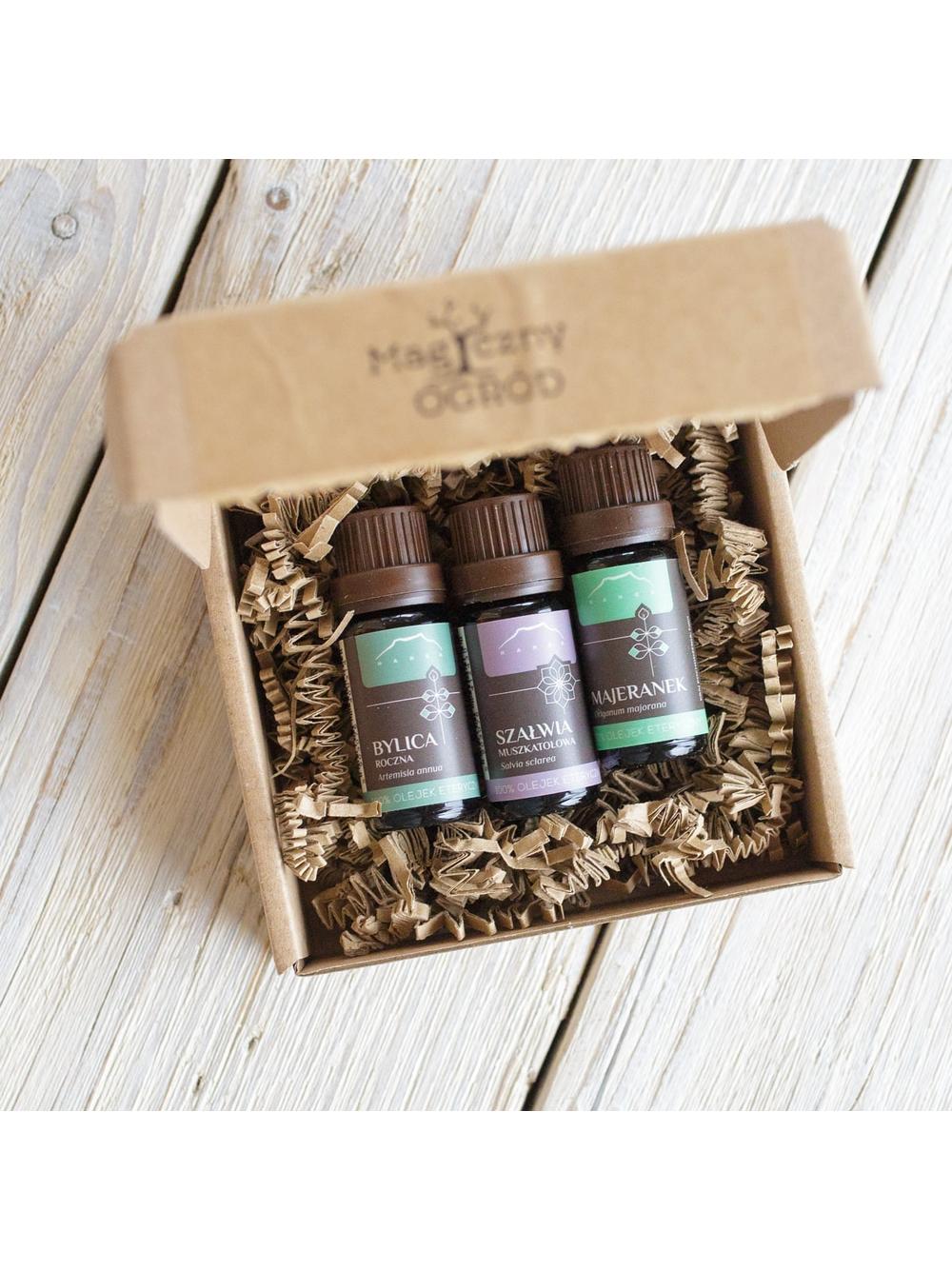 Zestaw łąka zielna