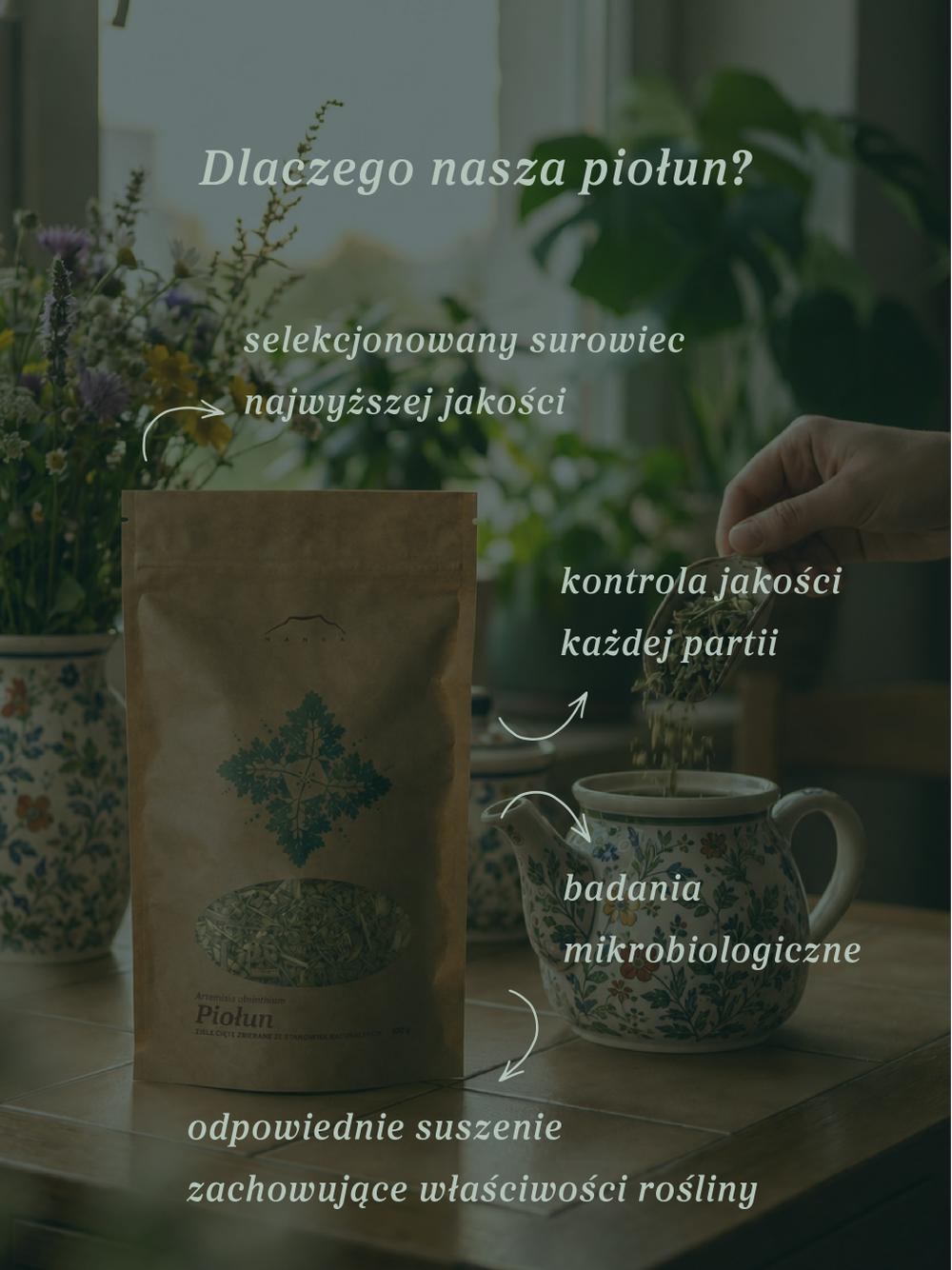 Piołun ziele