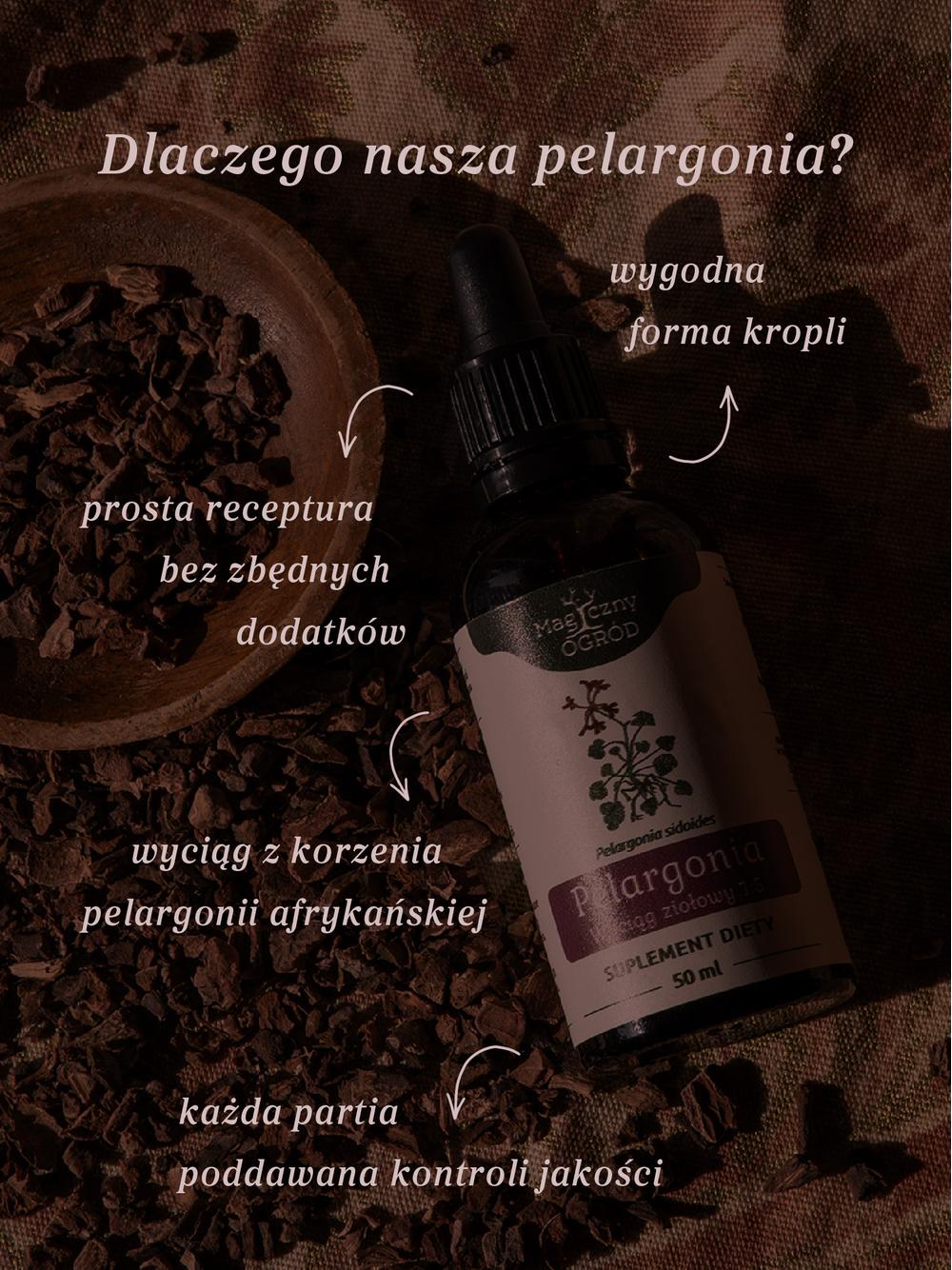 Pelargonia afrykańska wyciąg ziołowy 1:5