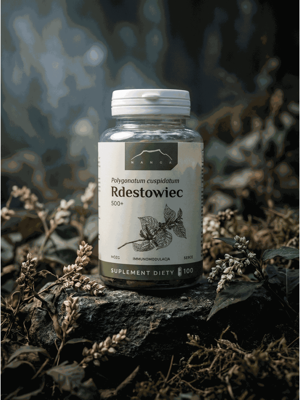 Rdestowiec 500+ kapsułki  x 500 mg