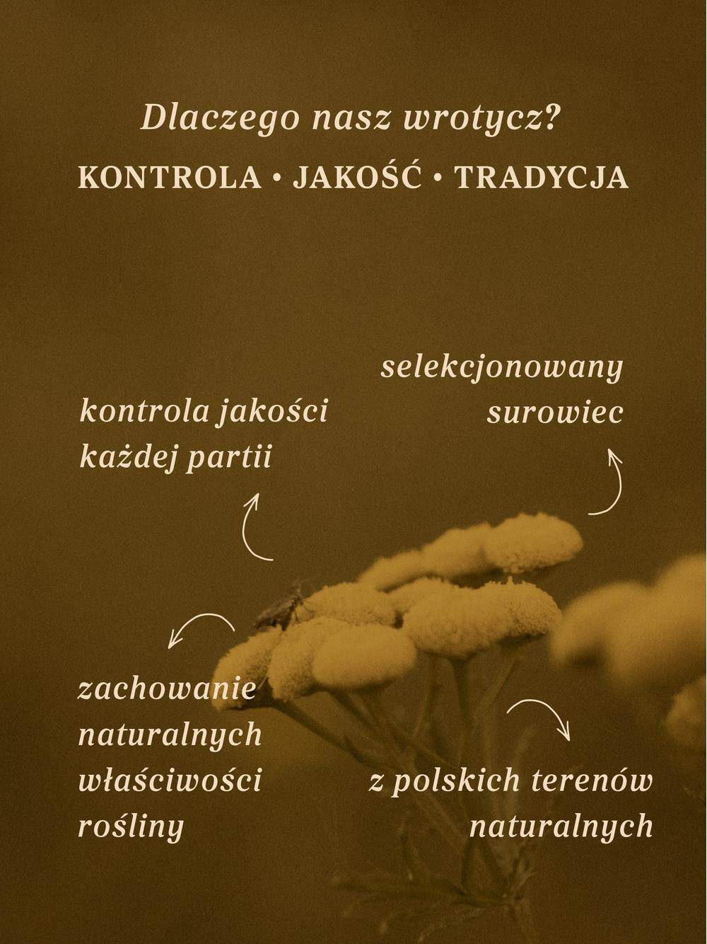 Wrotycz ziele