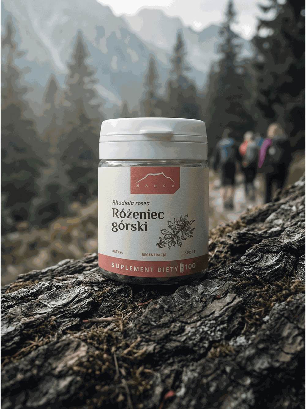 Różeniec górski (rhodiola rosea) kapsułki 100 szt x 165 mg