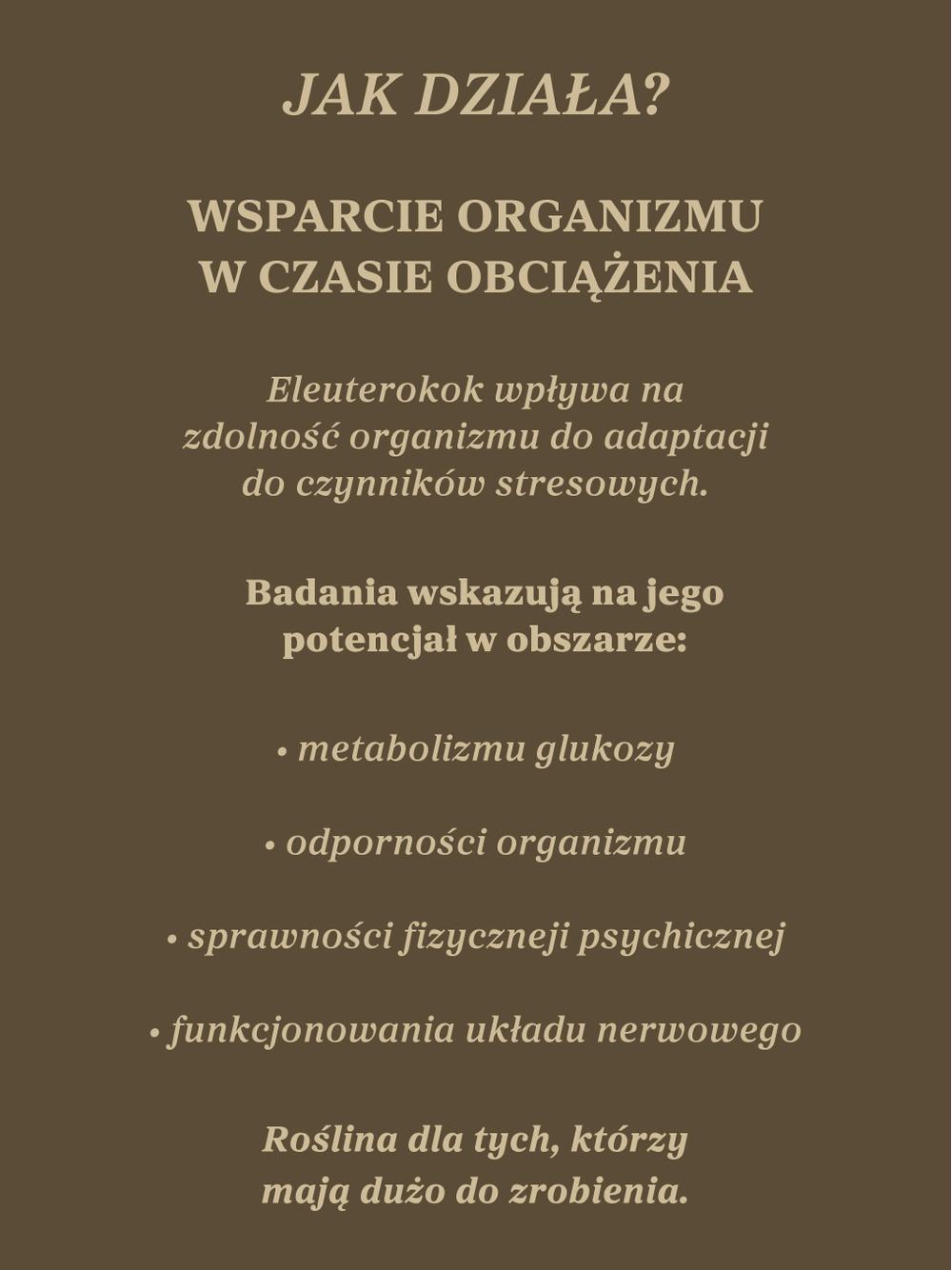 Żeń-szeń syberyjski nalewka 1:1