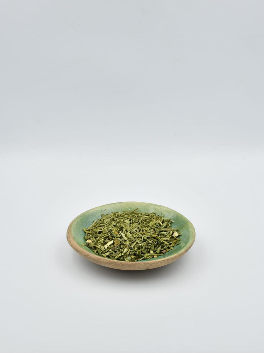 Ruta zwyczajna ziele