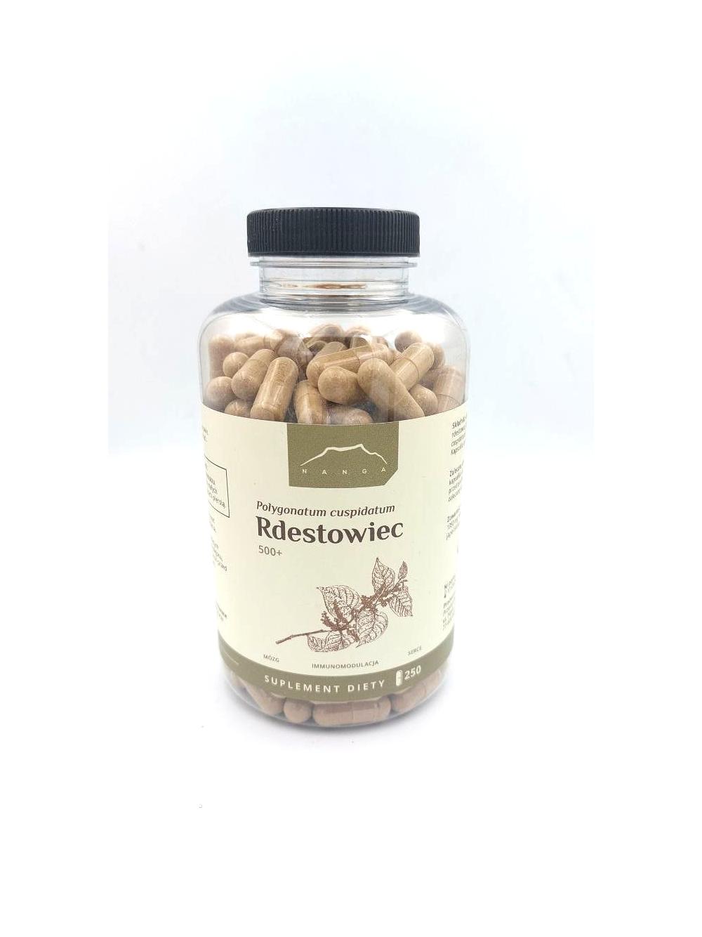 Rdestowiec 500+ kapsułki  x 500 mg