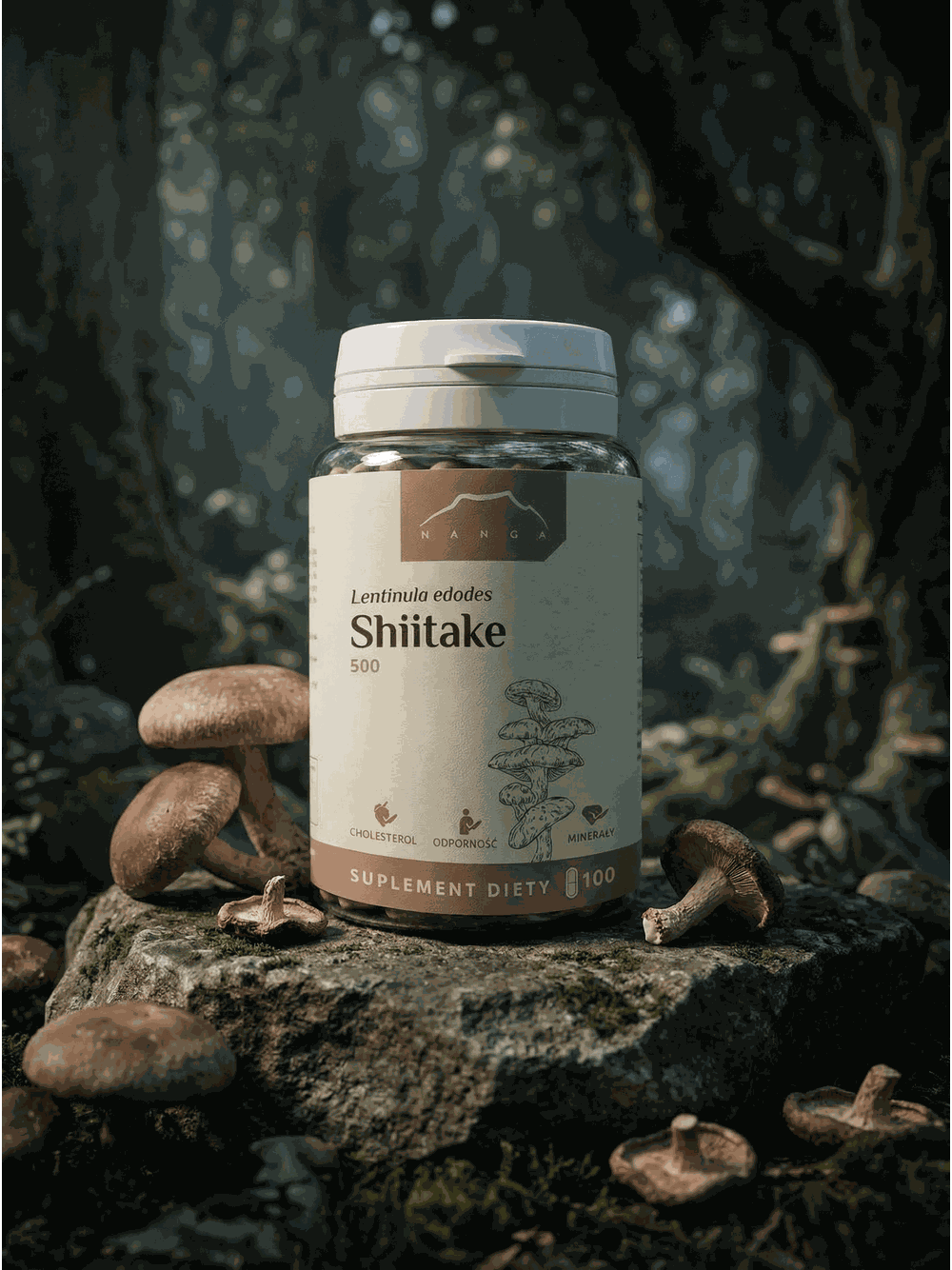 Shiitake ekstrakt 100 kapsułek x 500 mg