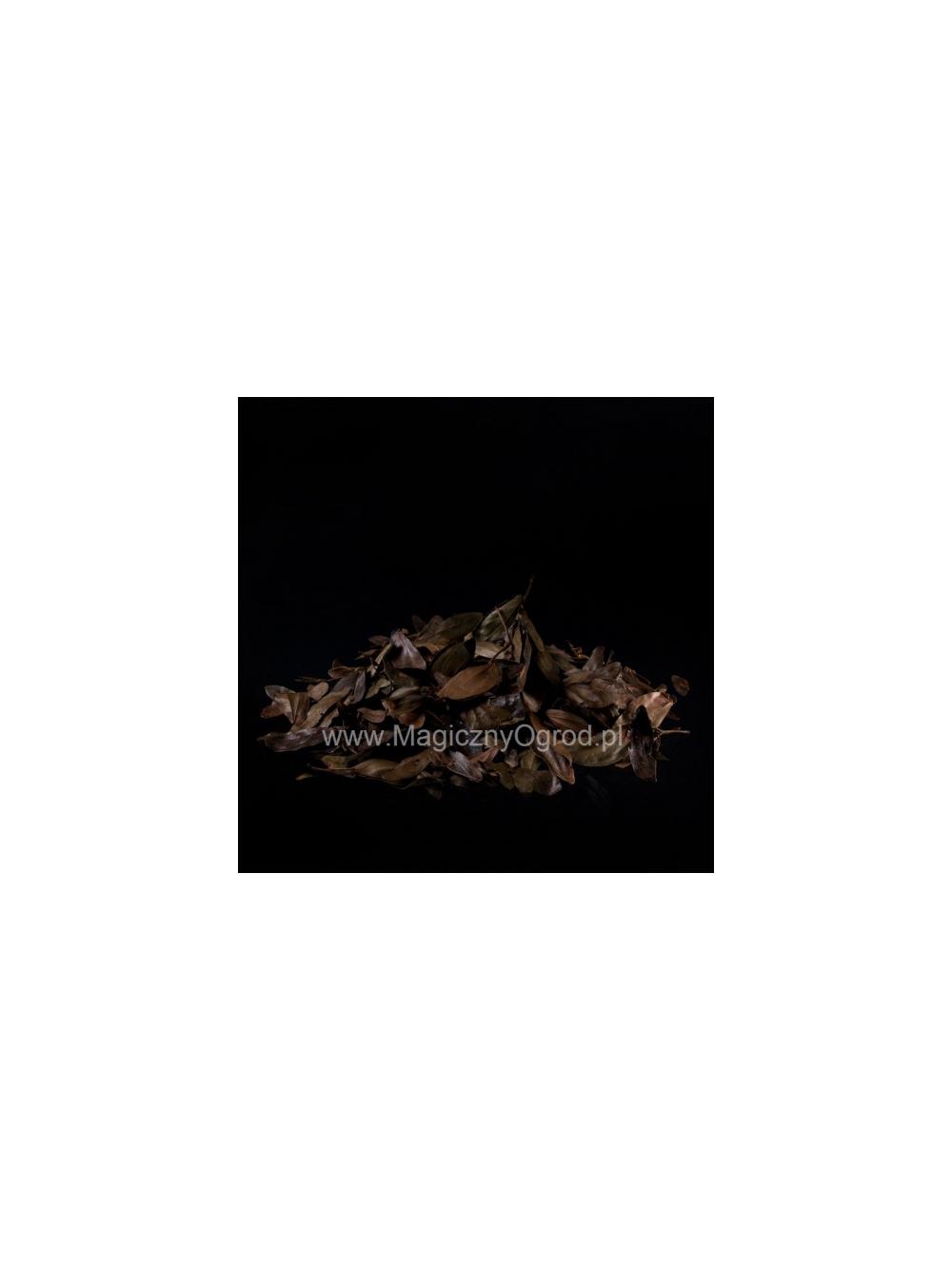 Bobinsana