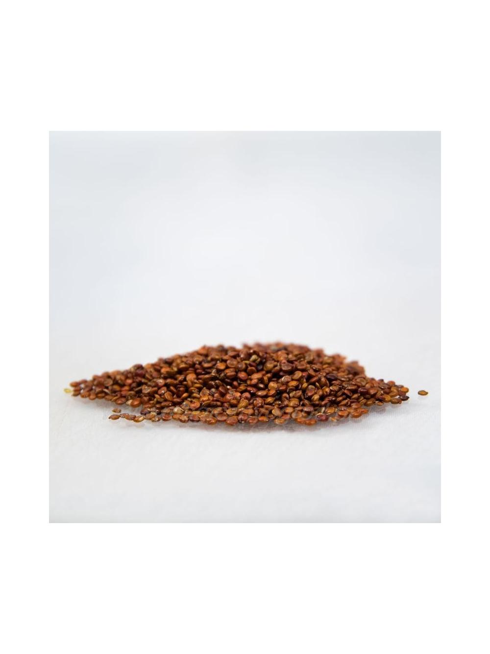 Quinoa czerwona Bio (komosa ryżowa) Nanga