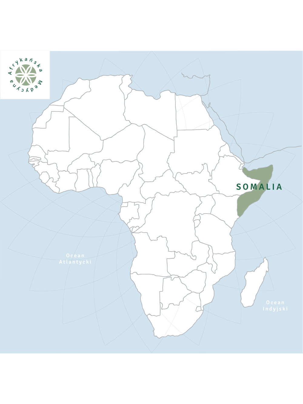 Olejek olibanum BIO 100% eteryczny Nanga