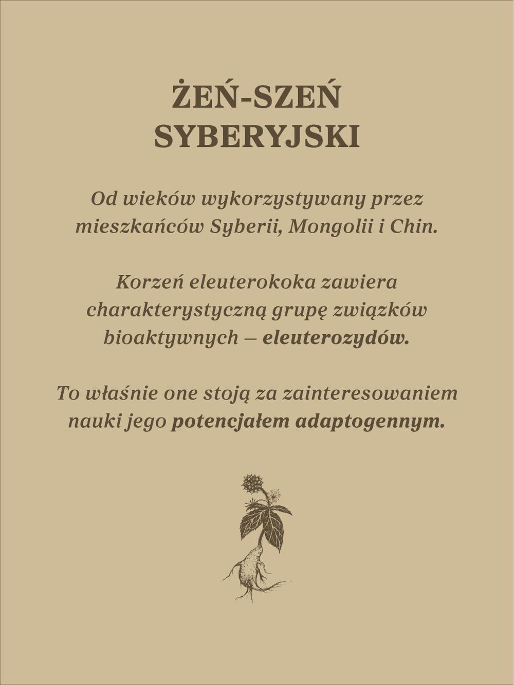 Żeń-szeń syberyjski nalewka 1:1
