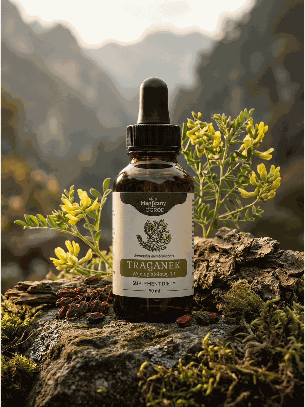 Traganek nalewka 1:1 50ml