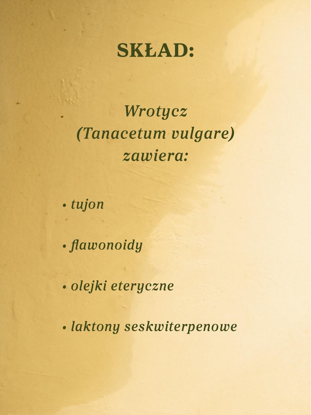 Wrotycz ziele