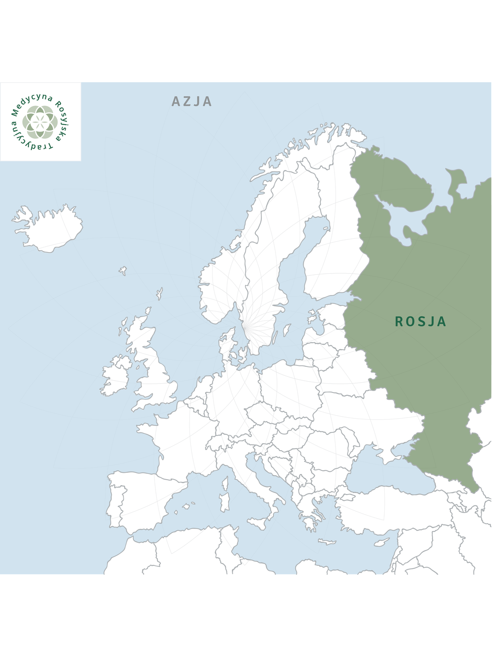 Różeniec górski korzeń - rhodiola