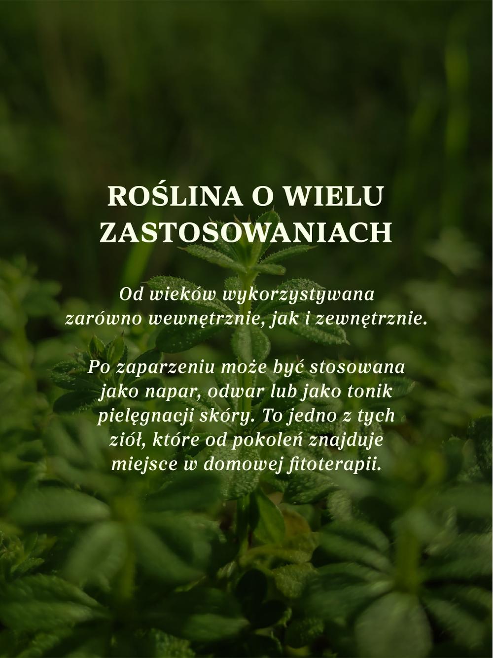 Przytulia czepna ziele