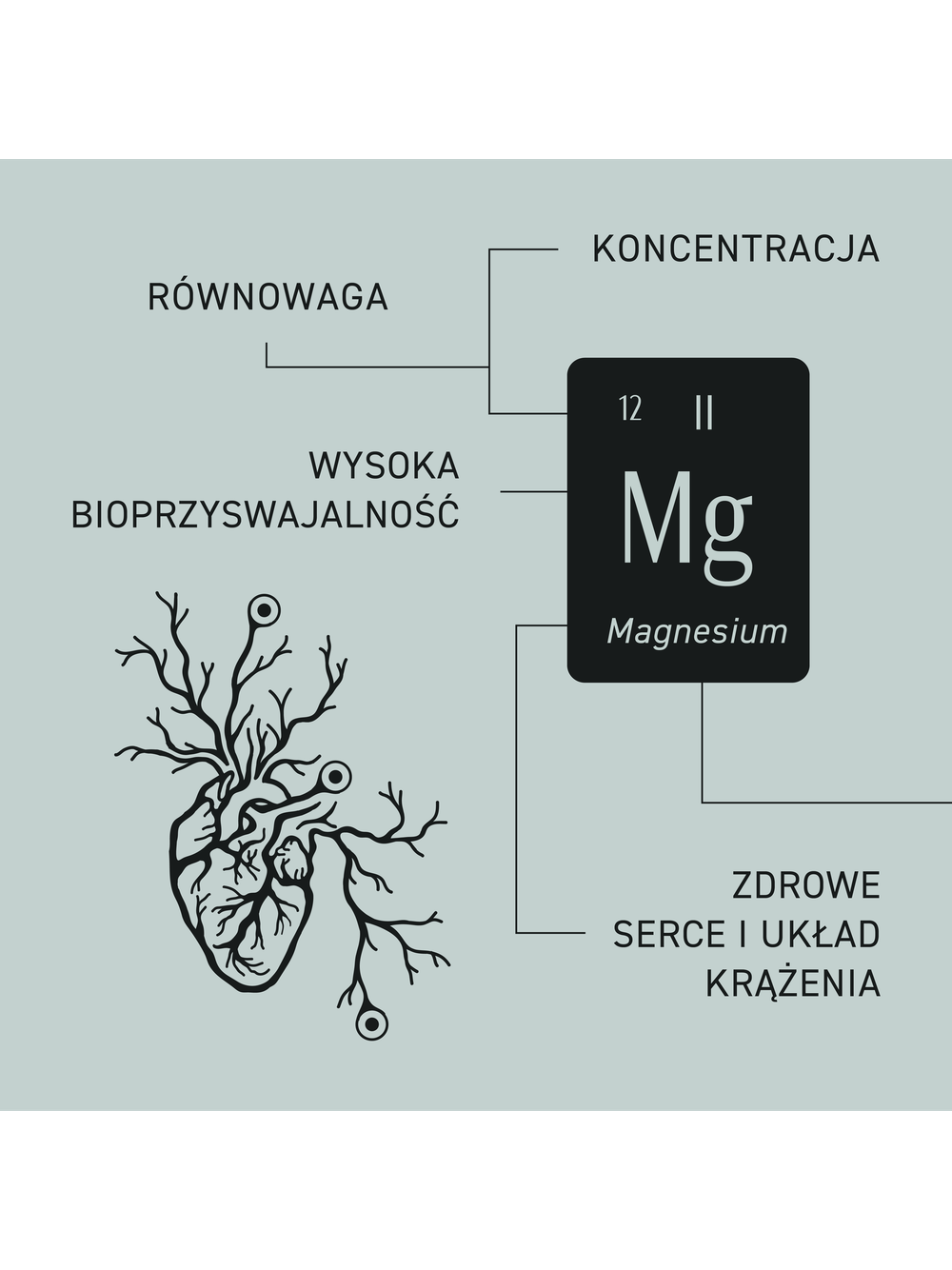 3 Magów