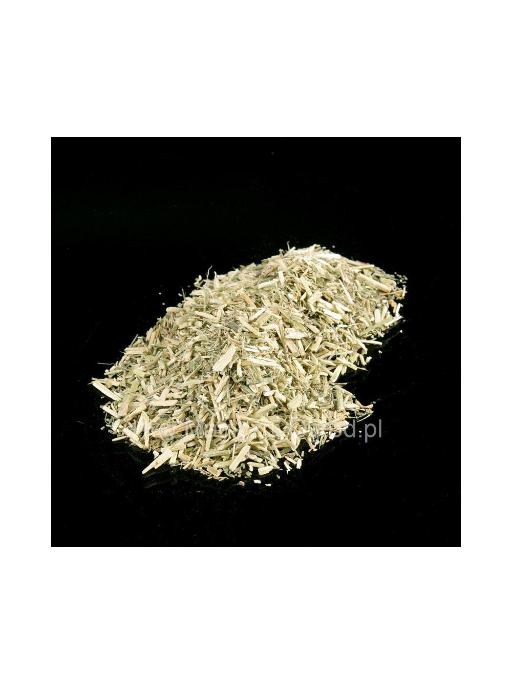 Sutherlandia frutescens liść - wildegansie
