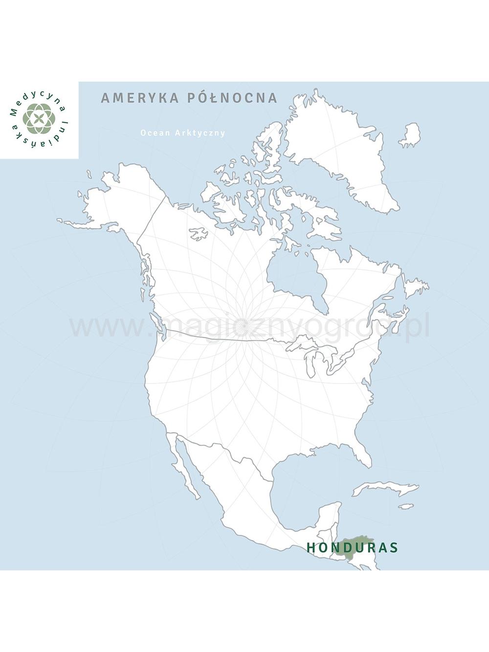 Styrax Honduras