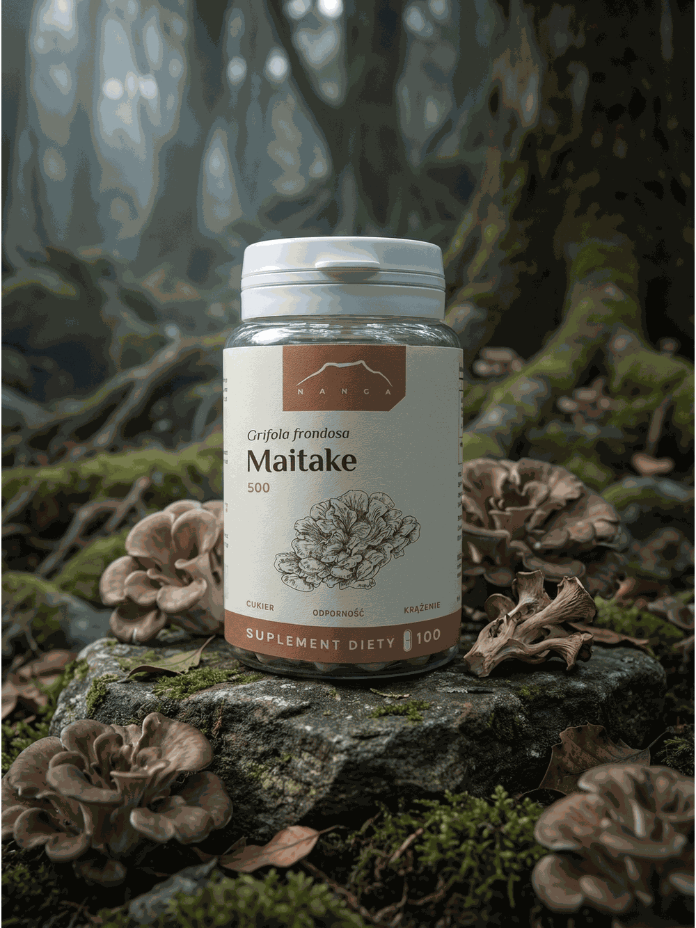 Żagwica listkowata (maitake) ekstrakt 100 kapsułek x 500mg