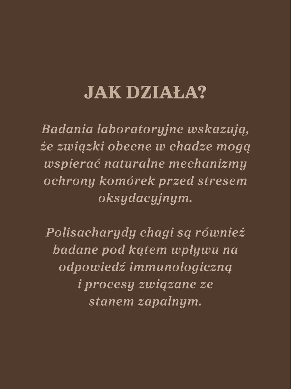 Czaga - guz brzozy