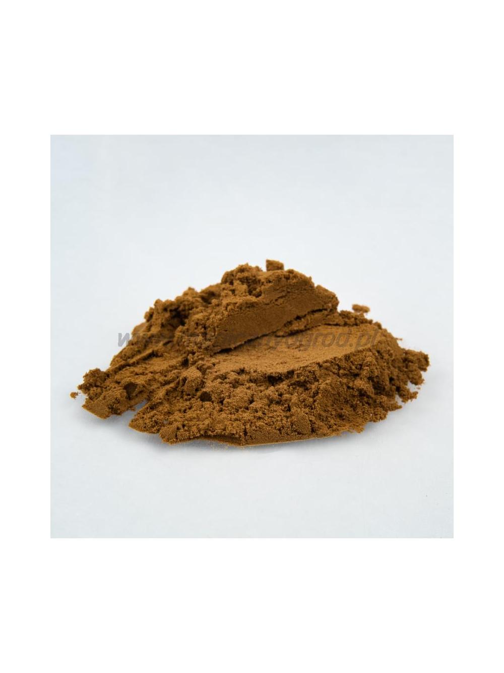 Reishi grzyb