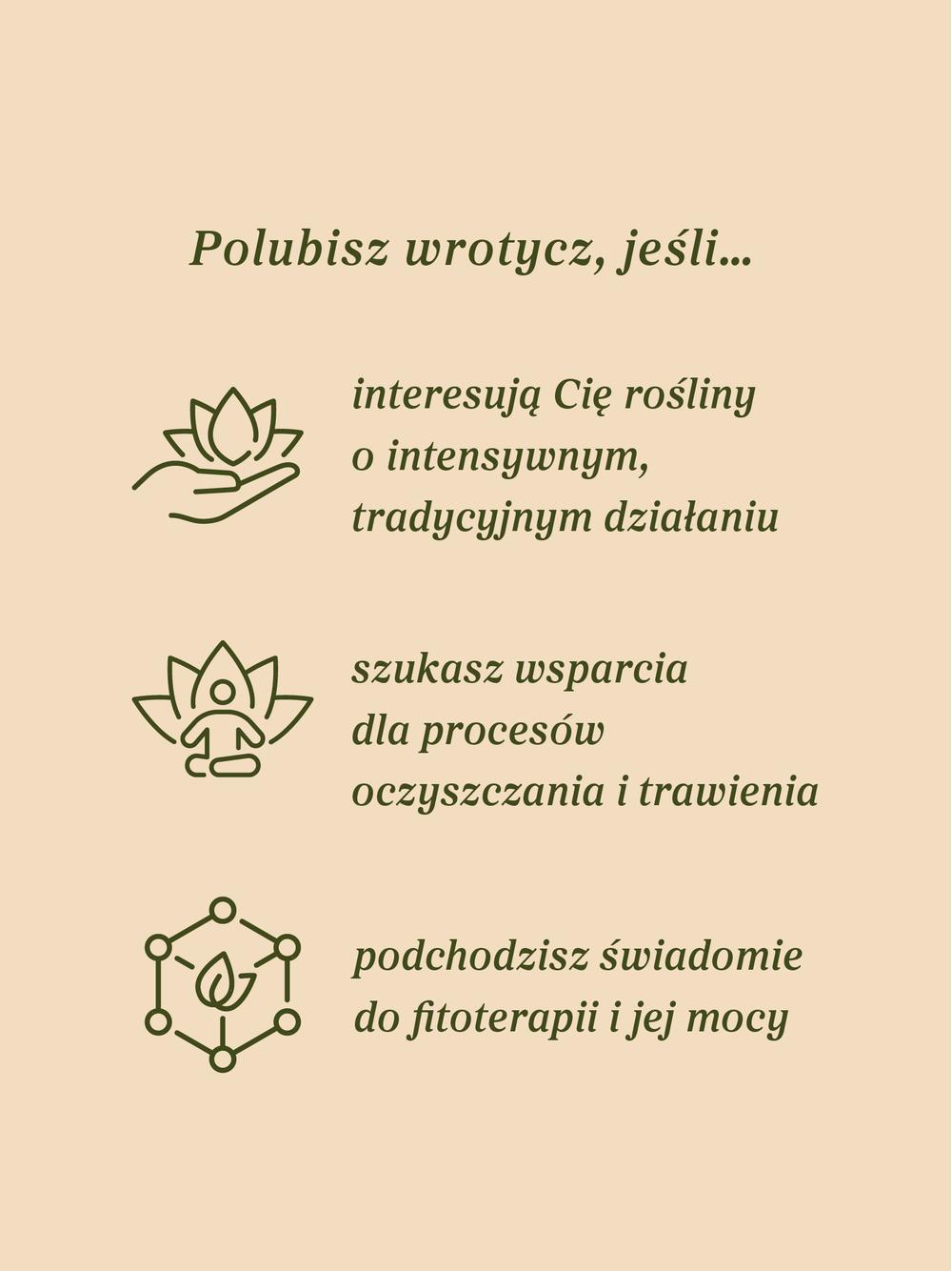 Wrotycz ziele
