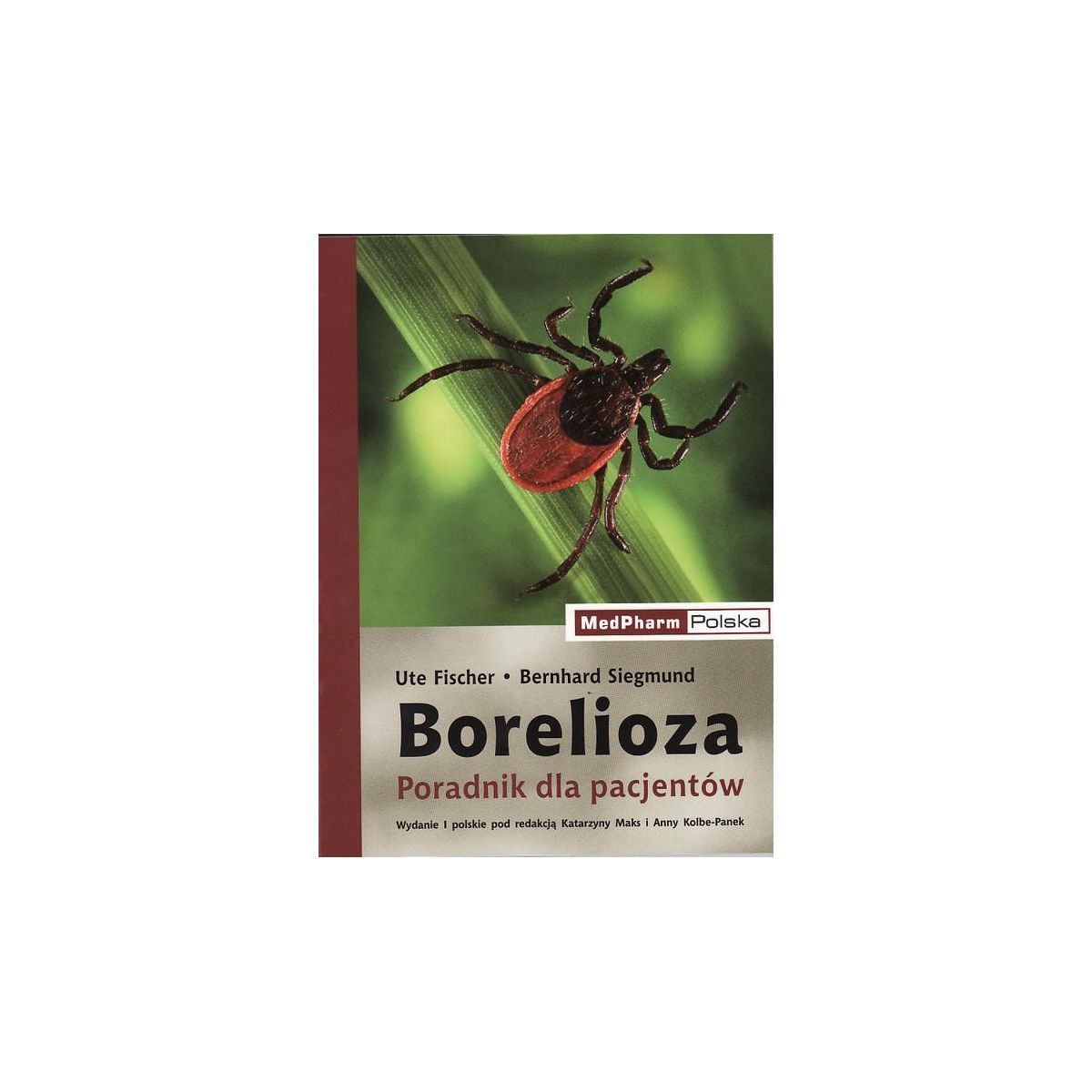 Borelioza - Poradnik dla pacjentów