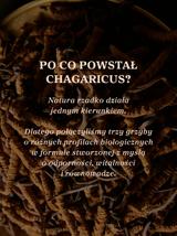 Eliksir Chagaricus