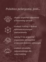 Pelargonia afrykańska wyciąg ziołowy 1:5