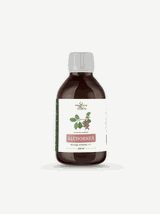 Alchornea cordifolia nalewka 1:1