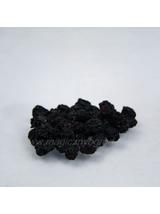 Aronia owoc suszony ręczny zbiór