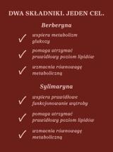 Berberyna z sylimaryną 100 kapsułek