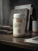 Soplówka jeżowata DUO suplement 250 mg x 100 kapsułek