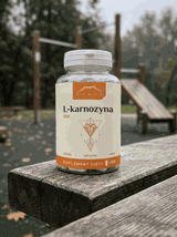 L-Karnozyna 100 kapsułek x 500mg