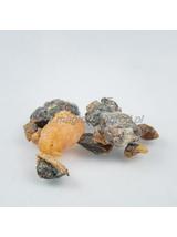 Boswellia serrata - kadzidło indyjskie