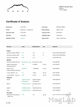 Kava kava Loa Waka Fiji