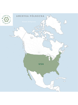 Sassafras albidum kora