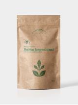 Babka lancetowata liść