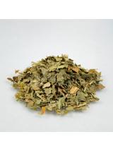 Ginkgo biloba liść